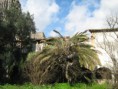 /album/galeria-de-fotos-retrato-ambiental-de-loures/fig-5-logradouro-sacavem-jpg/